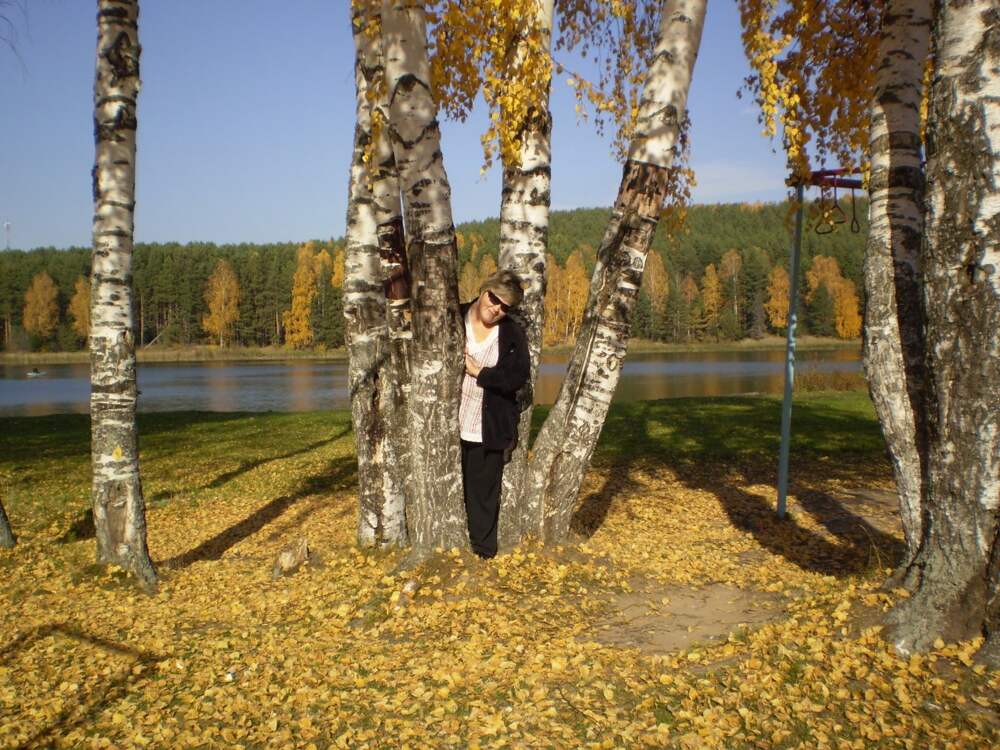 Среди берез. Семья среди берез. Среди берёз болот и звёзд цыганских свадеб волчьих слёз мне нет места. Фото Высоцкого среди берёз. По фотографии Любы березовой.