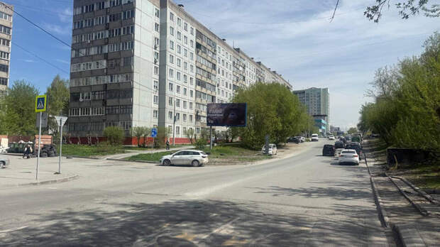 В Новосибирске проводят проверку из-за баннеров с орангутаном ко Дню Победы