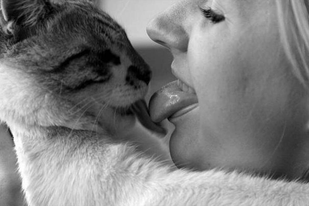 Картинка киски девушку. Поцелуй котика. Девушка целует кота. Котик целует. Поцелуй кота и девушки.