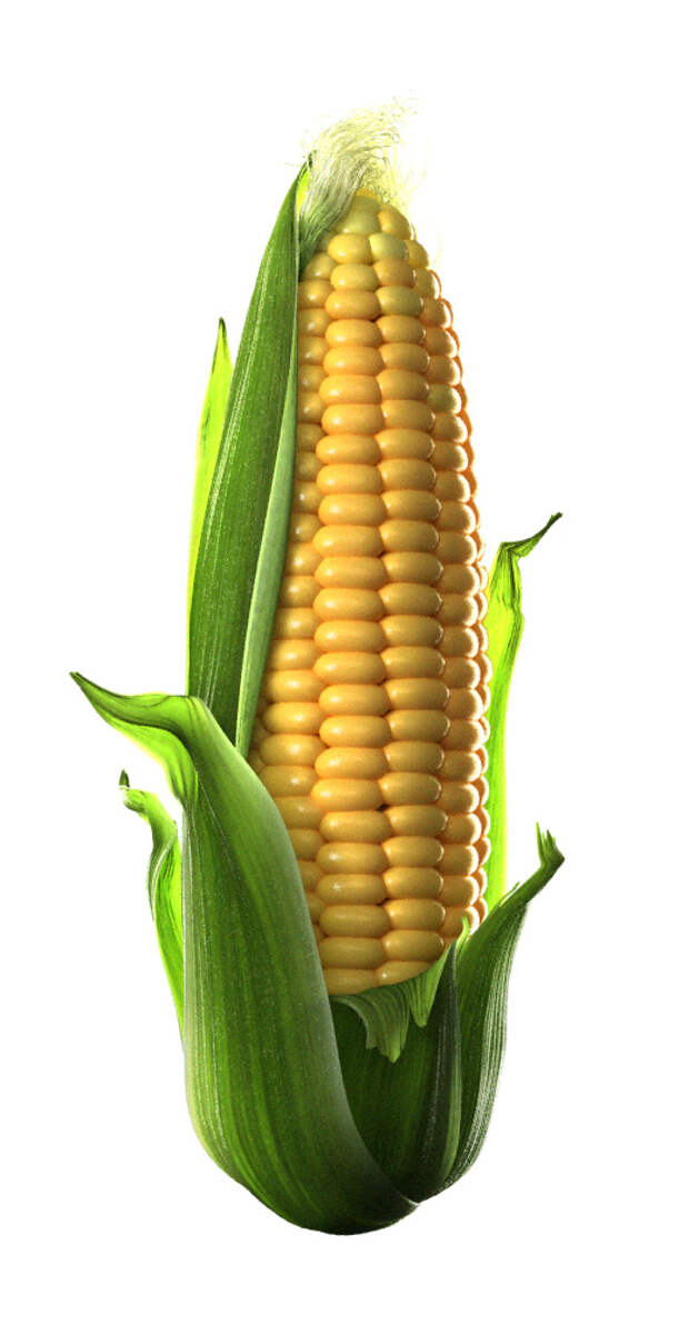 Corn Hentai