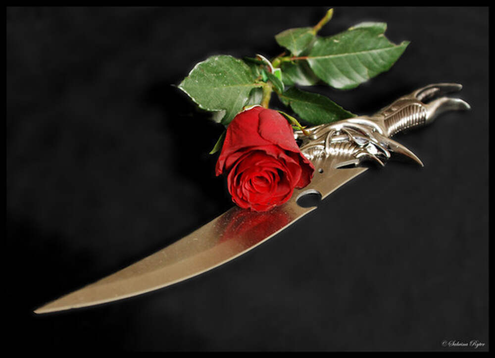 Rose knife. Цветок и нож. Кинжал цветок.