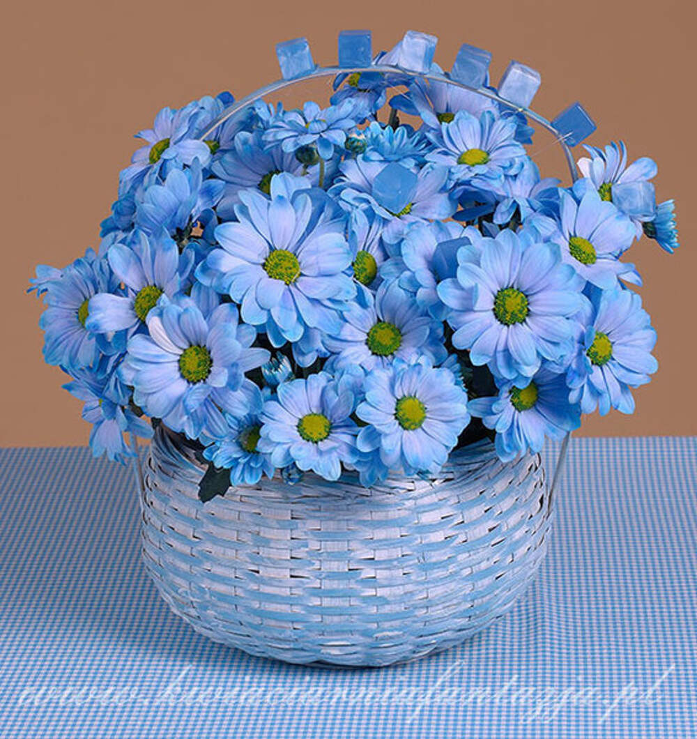 Открытка с голубыми цветами с днем рождения