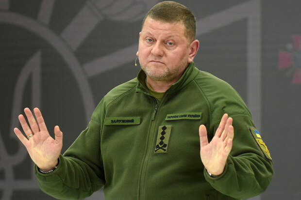 Экс-главком ВСУ Залужный: призывы к демобилизации на Украине не имеют смысла