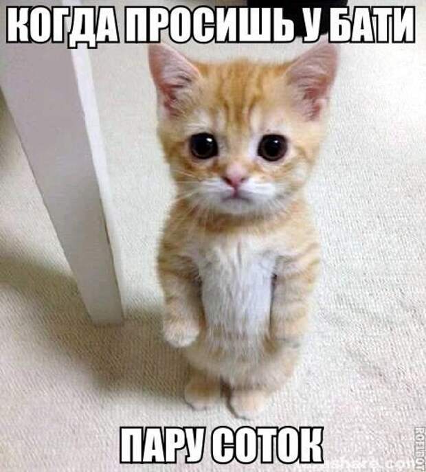 Картинки с надписями