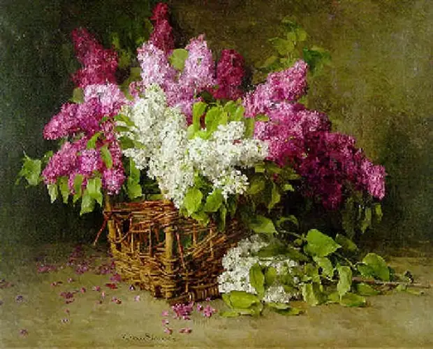   Clara Krger von Sivers (1854 - 1924)
