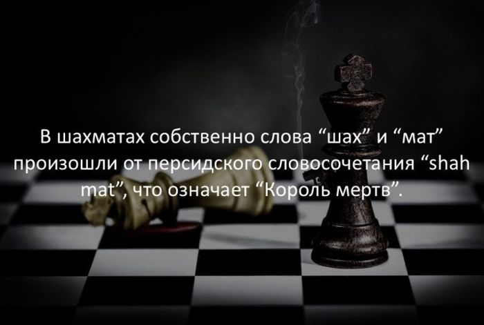 Интересные факты обо всем на свете