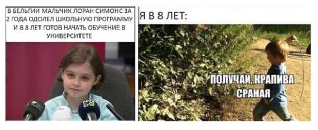 Шутки и истории про 