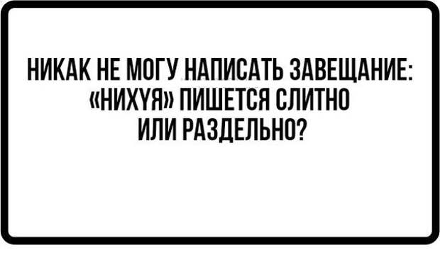 Приколы