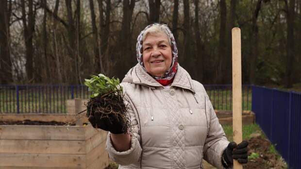 Спасение от выгорания: как работа в саду влияет на наше ментальное здоровье