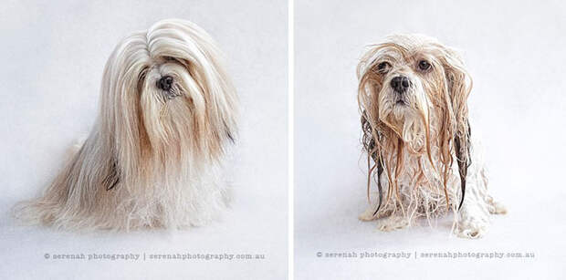 Before Vs. After Bath
