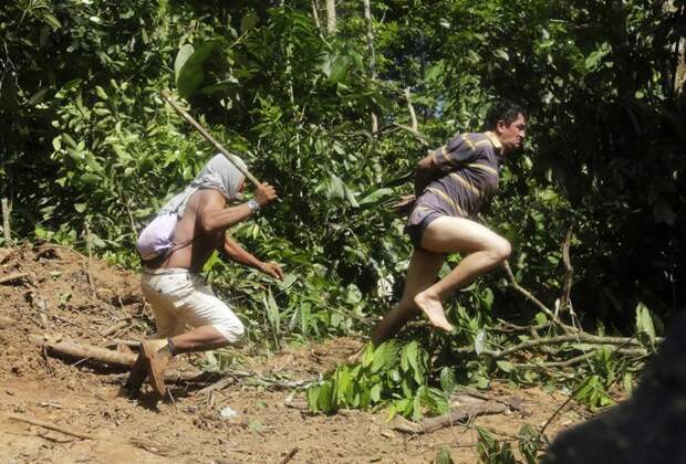 Как жители Амазонки защищают собственные леса защита животных, лесорубы