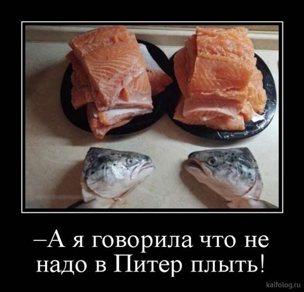 Просто демотиваторы (40 штук) Просто демотиваторы (40 штук)