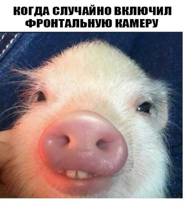 Смешные и прикольные картинки с надписями картинка с надписью, комментарии, прикол, соцсети