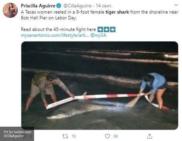 Женщина поймала на самодельную удочку 136-килограммовую акулу
