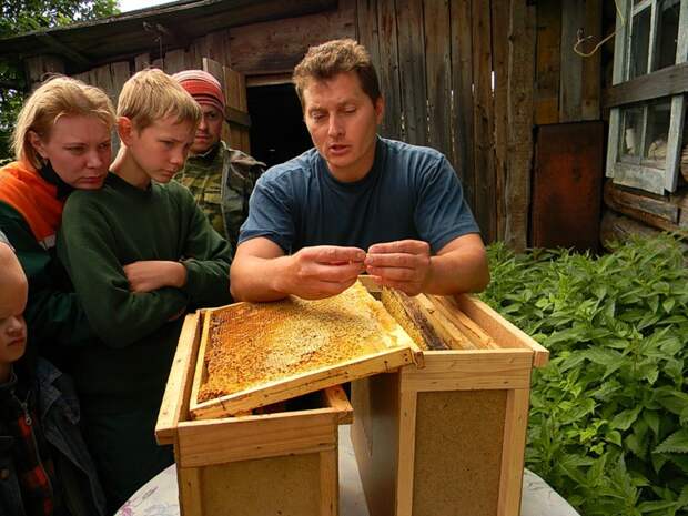Башкирия: пчеловодство дети, уроки, школа