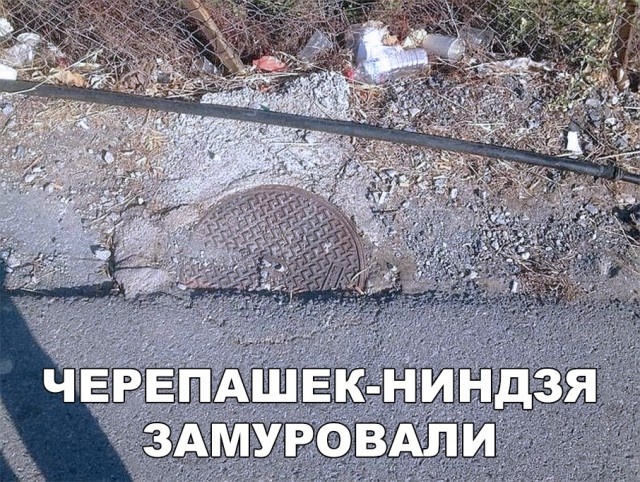 Подборка смешных фото и прикольных картинок с надписями