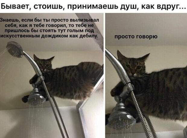 Подборка замечательных весёлых картинок