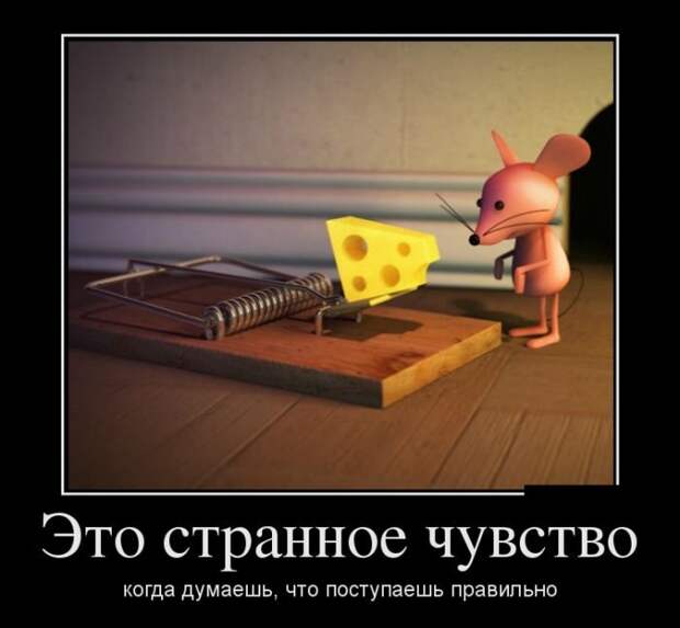 Демотиваторы (26.06.17)