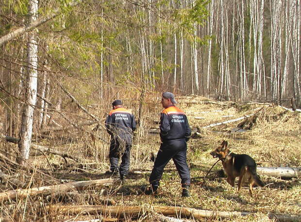 Особенности национальной охоты, рыбалки и прочих прогулок на природе. Статистика несчастных случаев несчастные случаи, отдых, охота, рыбалка, смерть