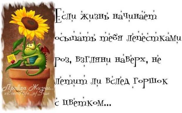 Смешные картинки дня. Правда жизни...