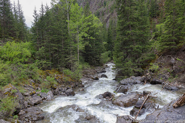 Алтайская горная речка – отличное место чтобы побыть в уединении
