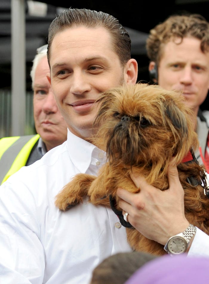 https://sobakibalabaki.com/wp-content/uploads/2017/09/love-for-dogs-tom-hardy-4-59bf6a7d791c6__700.jpg
