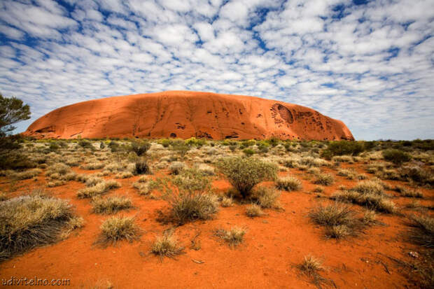 Скала Улуру (Айерс Рок),  Австралия. Фото /Uluru (Ayers Rock), Australia
