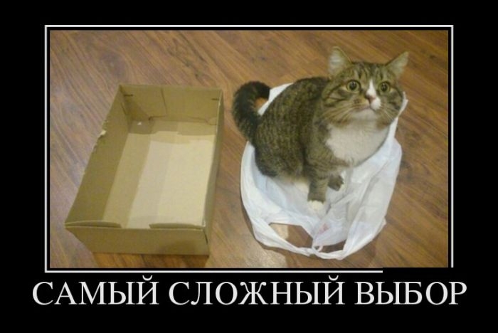 Демотиваторы
