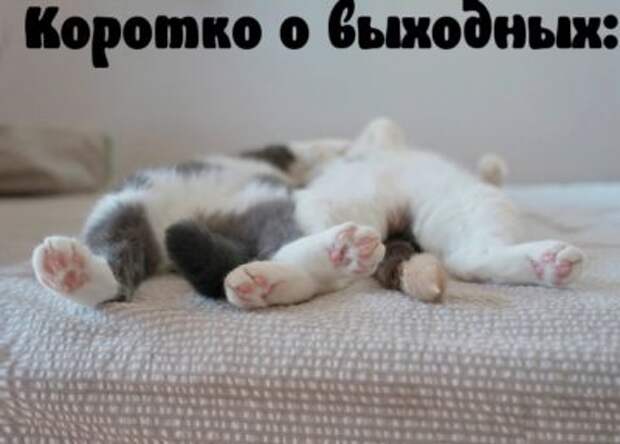 Юморные картинки