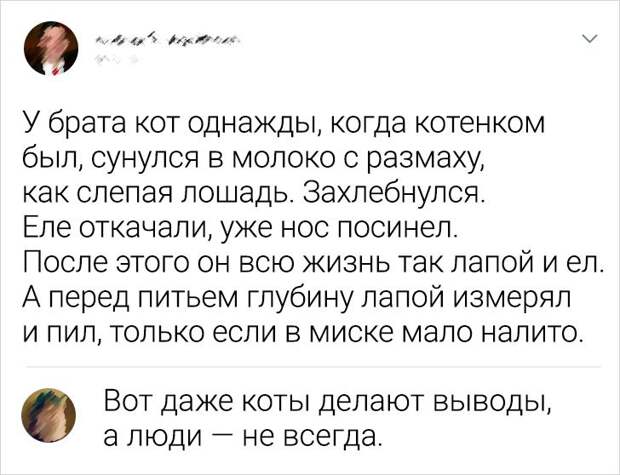 19 мастеров слова, которые комментируют так, что хоть стой, хоть падай