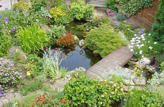 садовый пруд своими руками деревянный мост фото