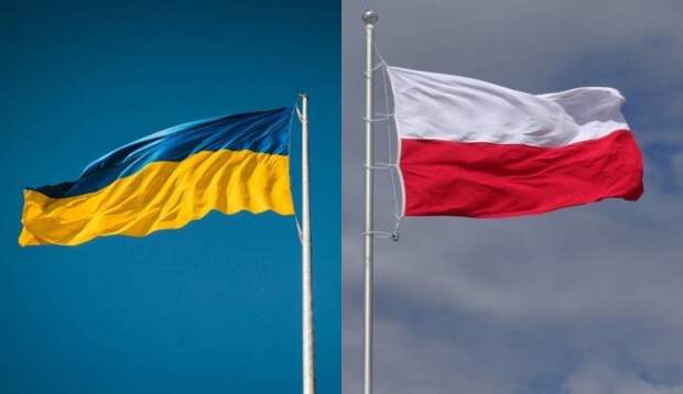 Украинцы могут отправиться домой: в Польше началась борьба с нелегалами