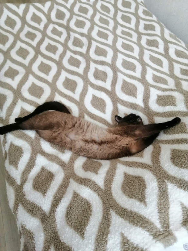 P3XWfEHi-O0 (525x700, 378Kb)