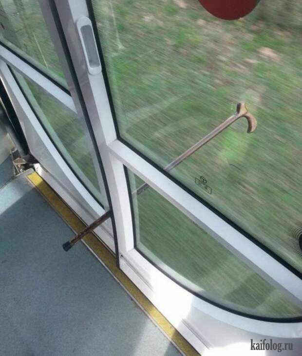 Прикольные приколы (50 фото)