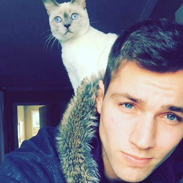 Голубоглазые друзья. Instagram hotdudeswithkittens.