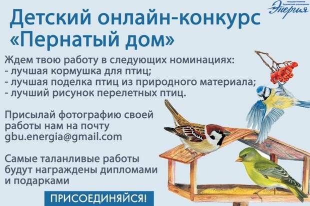 В ГБУ «Энергия» района Силино стартует детский онлайн-конкурс «Пернатый дом» В ГБУ «Энергия» района Силино стартует детский онлайн-конкурс «Пернатый дом»