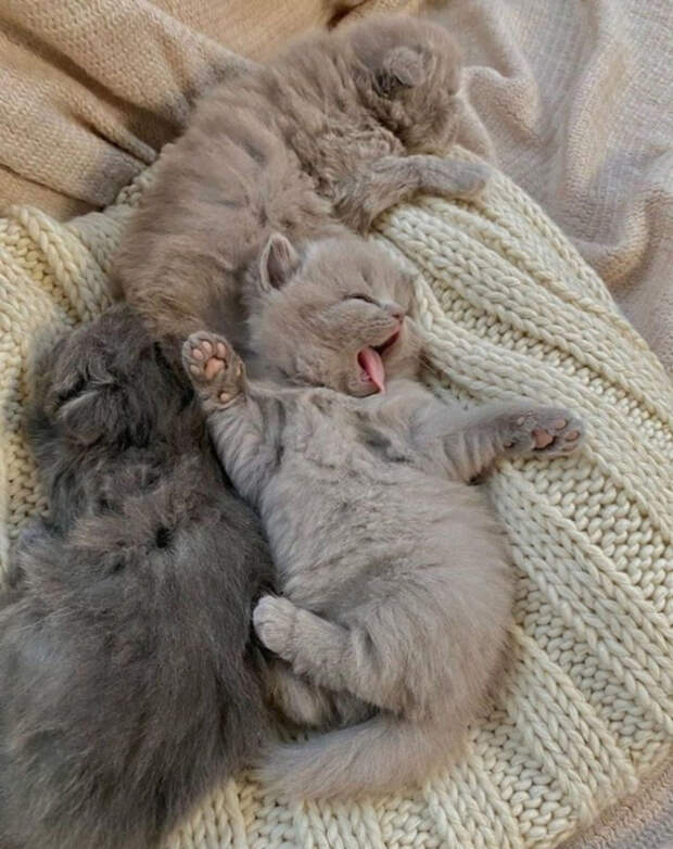 8-GfDSPMDIQ (554x700, 374Kb)