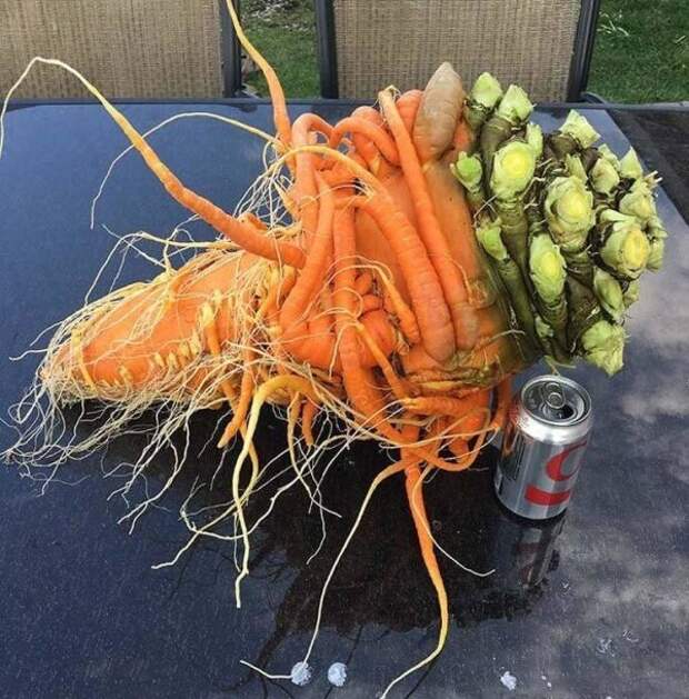 Прикольные картинки абавсём:D