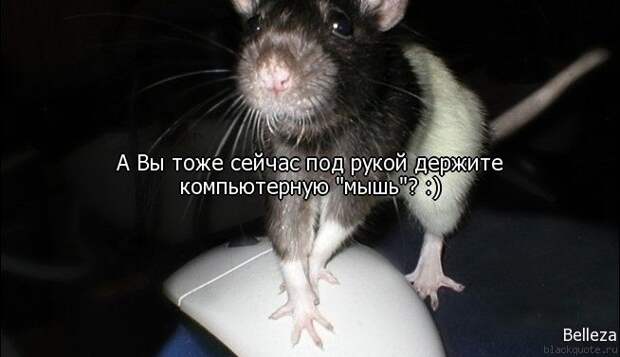 5672049_1348027173_frazi_20 (654x377, 33Kb)