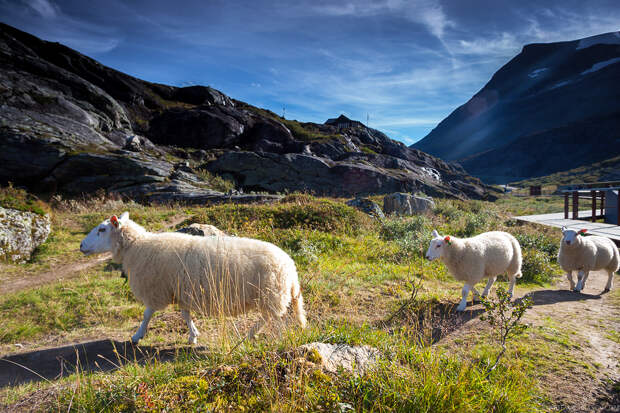 Trollstigen