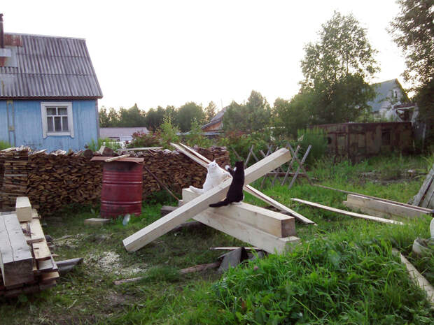 HYXqj73Ig58 (700x525, 466Kb)