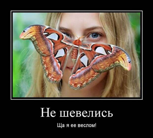 Демотиваторы (20 фото)