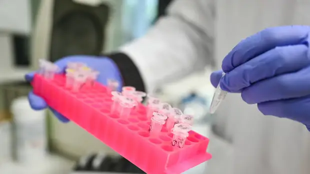 В Ставропольском крае провели 990 тысяч исследований на COVID-19