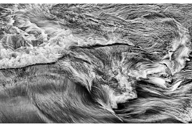 Львиная шкура напоминает разливы рек — столь причудливые формы она приобрела в объективе фотографа Генриха ван ден Берга