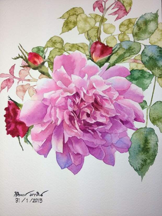 Rose Watercolor painting: