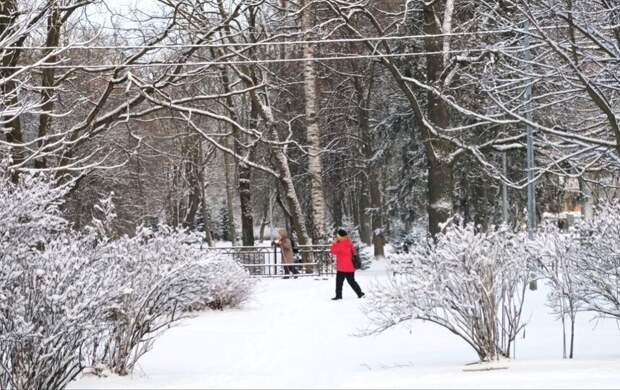 В Петербург приходит зима: синоптик обещает снежный Новый год