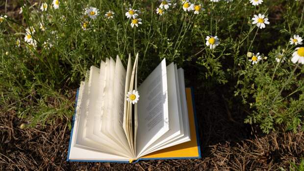 Тест на вербальную беглость: сколько слов вы сможете найти за 60 секунд?