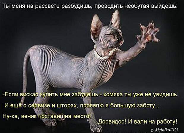 91a7ed9878e855a499f170296d3_prev