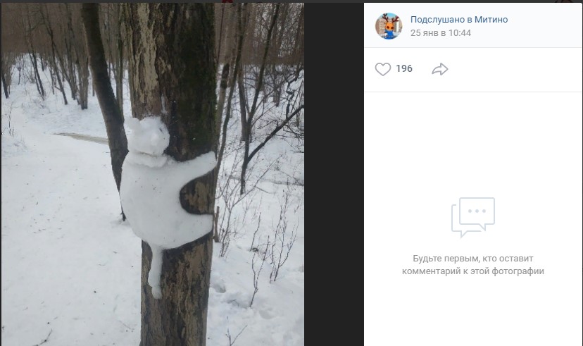 Фото дня: снежный кот забрался на дерево