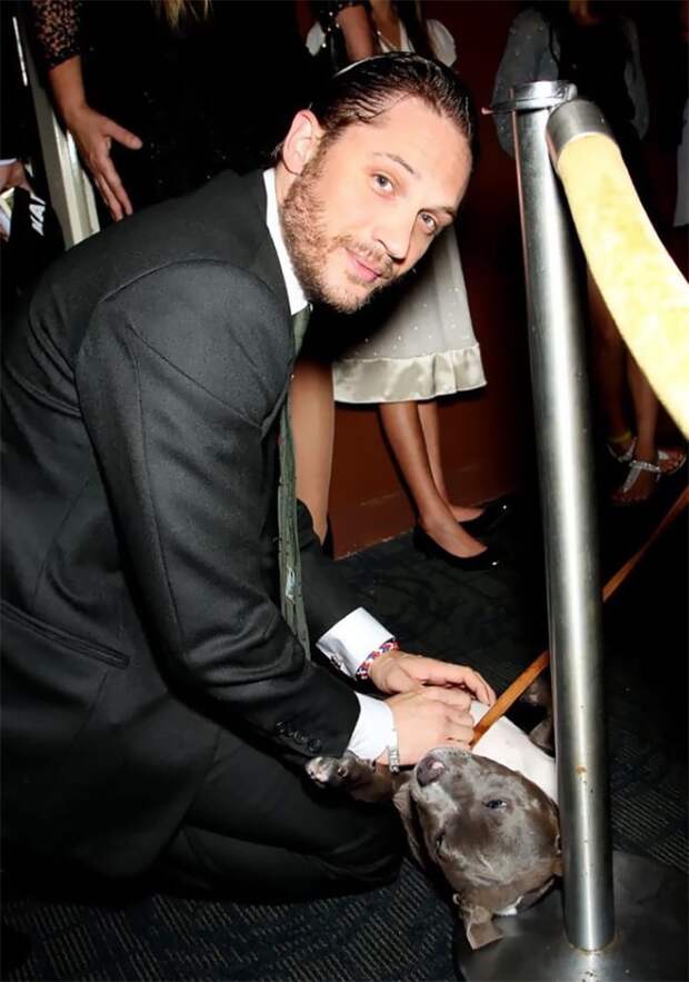 https://sobakibalabaki.com/wp-content/uploads/2017/09/love-for-dogs-tom-hardy-30-59bf88f27c454__700.jpg